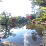 港区街並み散策 (8)　2020.4.24 自粛中 有栖川宮記念公園の日本庭園 池