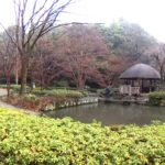 神奈川県　川崎・東高根森林公園の散策 上下