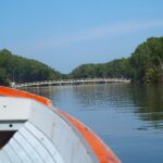 ブルネイ⑤ マングローブ探検